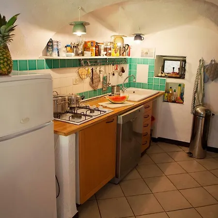 Casa Rose